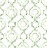 A-Street Prints 4081-26316 Gallina Green Trellis Wallpaper