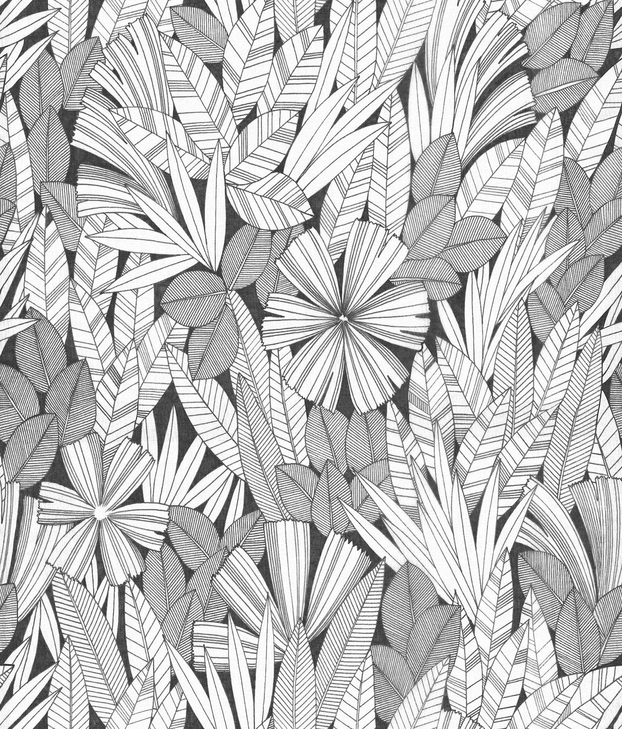 A-Street Prints 4081-26346 Bannon Black Leaves Wallpaper