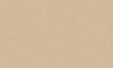 Advantage 4082-381974 Steno Wheat Plaster Wallpaper