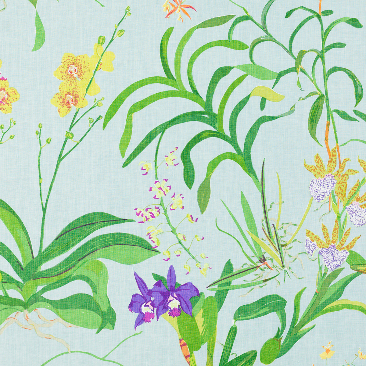 Schumacher 411B67 CALYPSO in ROBIN'S EGG Fabric - RAOUL TEXT