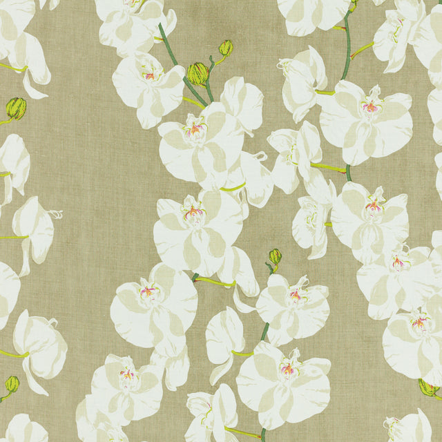 Schumacher 412B02 CELESTE in FOG Fabric - RAOUL TEXTILES
