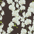 Schumacher 412B28 CELESTE in MOLE Fabric - RAOUL TEXTILES