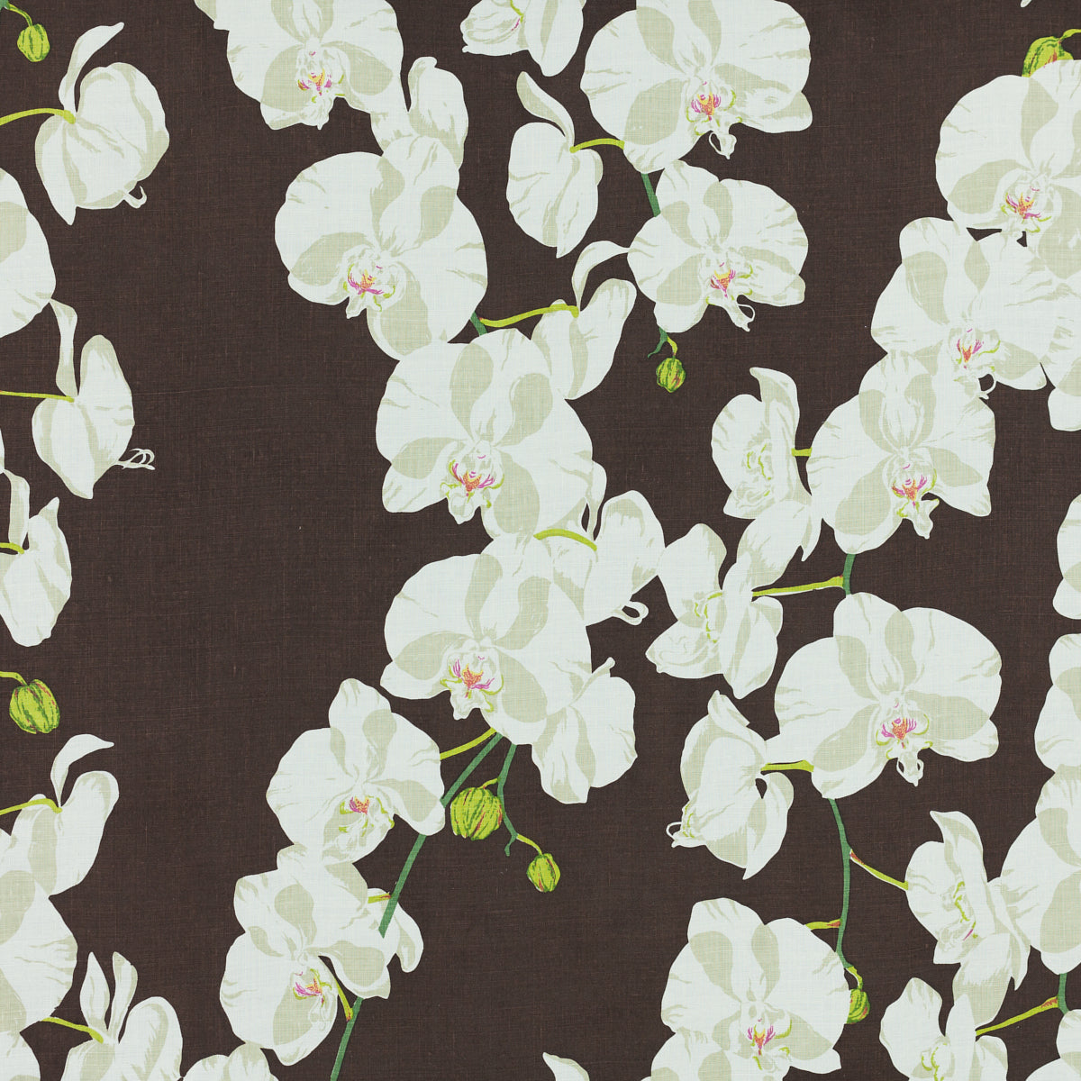 Schumacher 412B28 CELESTE in MOLE Fabric - RAOUL TEXTILES