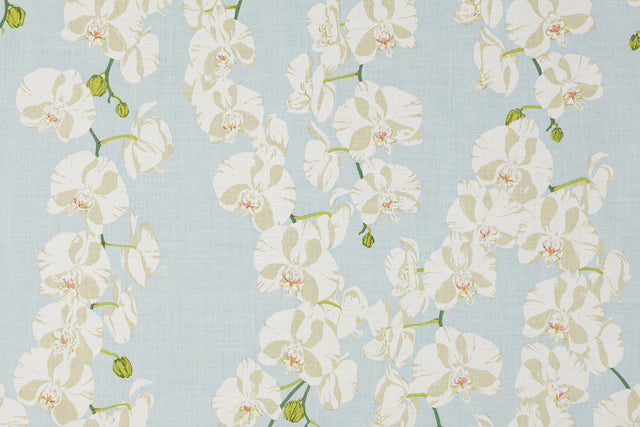 Schumacher 412B67 CELESTE in ROBIN'S EGG Fabric - RAOUL TEXT