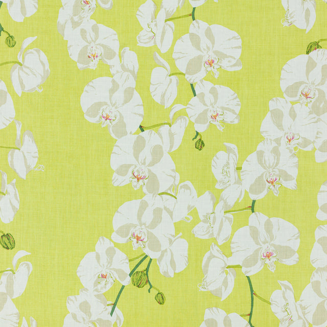Schumacher 412B76 CELESTE in LIMA Fabric - RAOUL TEXTILES