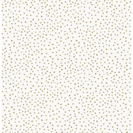 A-Street Prints 4135-27305 Cassie Black Petite Polka Wallpaper - Eade's Wallpaper