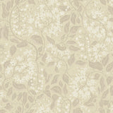 A-Street Prints 4143-22022 Turi Wheat Twining Vines Wallpaper