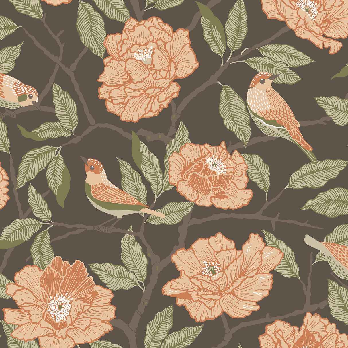 A-Street Prints 4143-34026 Bernadina Black Rosebush Wallpaper