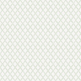 A-Street Prints 4143-34036 Trevor Sage Leaf Trellis Wallpaper