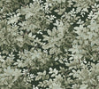 A-Street Prints 4147-80004 Greenwood Dark Green Deciduous Wallpaper - Eade's Wallpaper