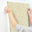 A-Street Prints 4153-82027  Wallpaper - Eade's