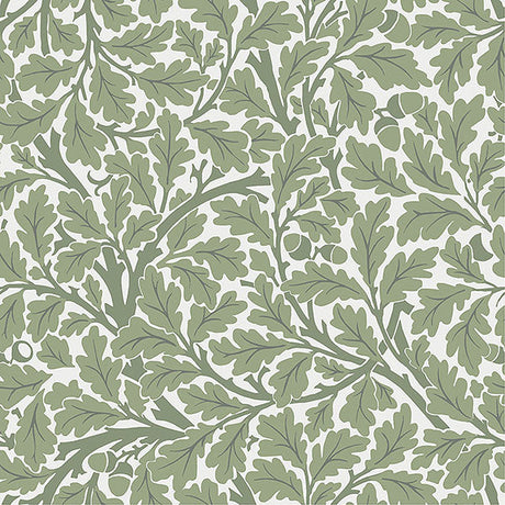 A-Street Prints 4153-82030 Oak Tree Wallpaper - Eade's Wallpaper