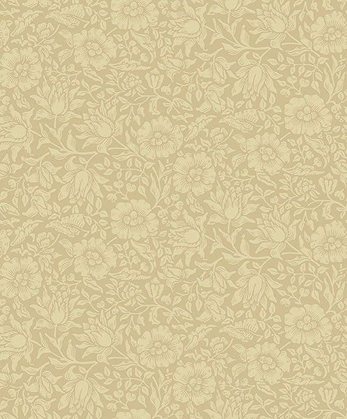 A-Street Prints 4153-82039  Wallpaper - Eade's