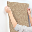 A-Street Prints 4153-82040  Wallpaper - Eade's