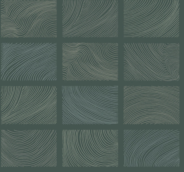 A-Street Prints 4155-72800 Bronson Topography Wallpaper - Eade's Wallpaper