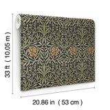 A-Street Prints 4171-82048  Wallpaper - Eade's