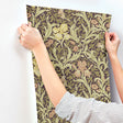 A-Street Prints 4171-82052  Wallpaper - Eade's