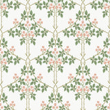 A-Street Prints 4171-82054  Wallpaper - Eade's