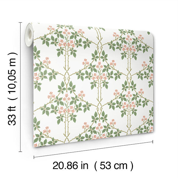 A-Street Prints 4171-82054  Wallpaper - Eade's
