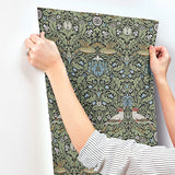 A-Street Prints 4171-82062  Wallpaper - Eade's