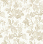 Eade’s Beach Rose Champagne