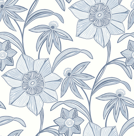 Eade’s Star Flower Blue