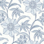 Eade’s Star Flower Blue