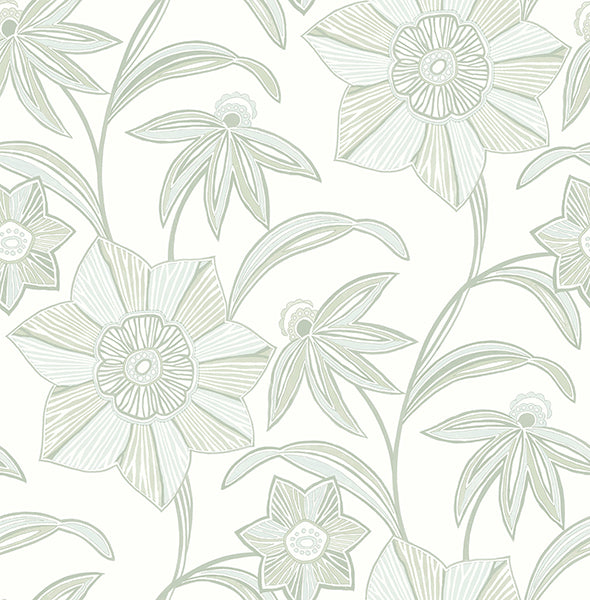 Eade’s Star Flower Light Green