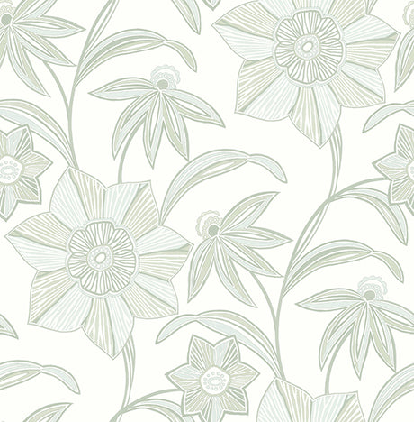 Eade’s Star Flower Light Green