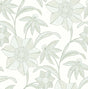 Eade’s Star Flower Light Green