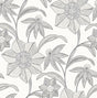 Eade’s Star Flower Charcoal