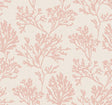 Eade’s Tortuga Pink