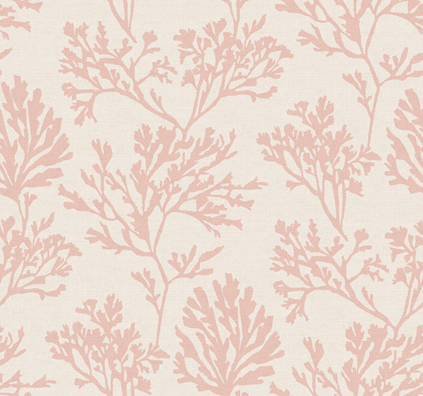 Eade’s Tortuga Pink