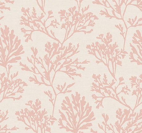 Eade’s Tortuga Pink