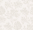 Eade’s Tortuga Dove