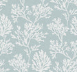 Eade’s Tortuga Sky Blue