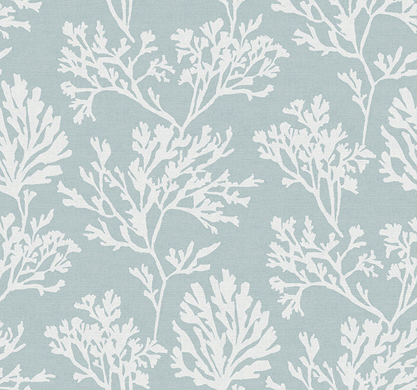 Eade’s Tortuga Sky Blue