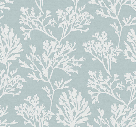 Eade’s Tortuga Sky Blue