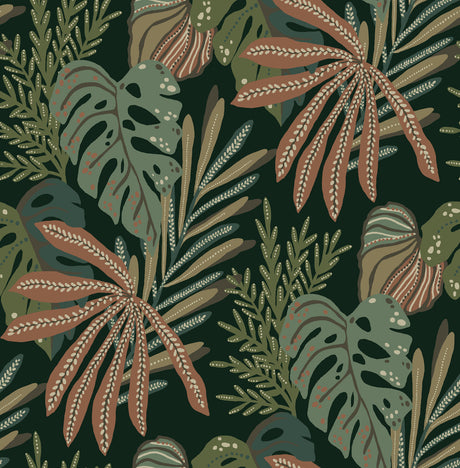 A-Street Prints 4177-27737 Alocasia Multicolor Tropical Foli
