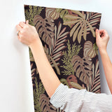 A-Street Prints 4177-27738 Alocasia Burgundy Tropical Foliag