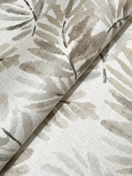 A-Street Prints 4177-27741 Serenade Grey Ferns Wallpaper