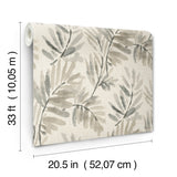 A-Street Prints 4177-27741 Serenade Grey Ferns Wallpaper