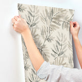 A-Street Prints 4177-27741 Serenade Grey Ferns Wallpaper