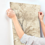 A-Street Prints 4177-27750 Mistwood Coffee Forest Wallpaper