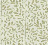 A-Street Prints 4177-83305 Sagecrest Sage Sapling Wallpaper