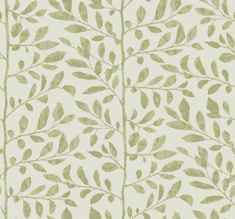 A-Street Prints 4177-83305 Sagecrest Sage Sapling Wallpaper