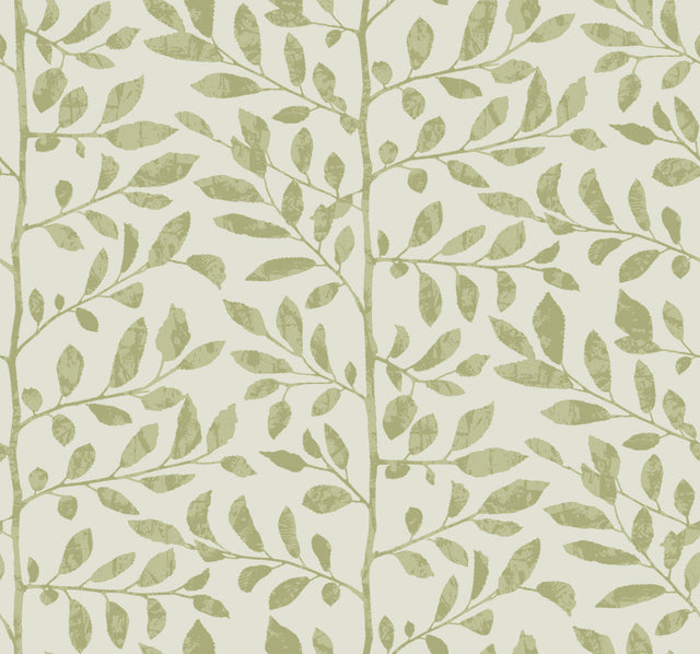A-Street Prints 4177-83305 Sagecrest Sage Sapling Wallpaper
