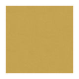 KRAVET DESIGN 4179.416.0 BEECH CHAMPAGNE Fabric