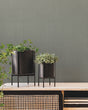 Warner Solids  Wallpaper 4181-4724 - Eade's