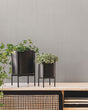 Warner Solids  Wallpaper 4181-4727 - Eade's